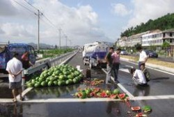 吃瓜西瓜翻车视频在线观看,网络热议背后的真相揭秘