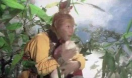 悟空吃瓜事件视频大全集