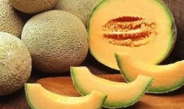 哈密瓜有毒你敢吃吗视频,视频揭示真相，你还敢吃吗？