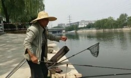 钓鱼大爷吃瓜视频在线观看,吃瓜视频引网友热议