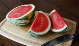 网红韩国旅游吃瓜视频