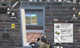 吃鸡瓜的小视频,揭秘游戏背后的趣味与智慧