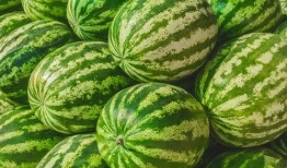 戈优吃瓜视频在哪里,揭秘热门话题背后的真相与笑料