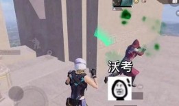 吃鸡瓜的小视频,揭秘游戏背后的趣味与智慧