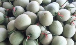 甜瓤瓜怎么吃最好吃视频,视频教你如何吃出最佳口感