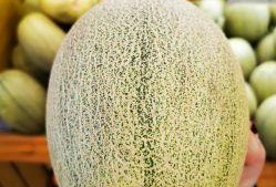 米奇蜜瓜怎么吃最好吃视频,视频教你轻松享美味