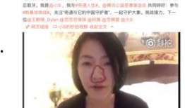 综艺酒店吃瓜完整视频,全程精彩瞬间回顾