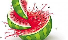 吃瓜视频大全儿童,趣味横生的童年娱乐盛宴