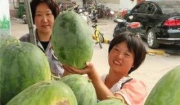 一路有你吃瓜视频大全,吃瓜视频大全精彩回顾