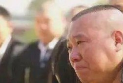 桑植吃瓜事件始末视频,一场网络热议的真相追踪