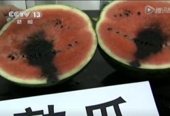 咖啡店的吃瓜视频在哪看,咖啡店吃瓜视频，热门内容一网打尽！