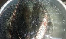 衡阳吃瓜视频,揭秘当地美食文化盛宴