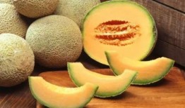 和孩子吃哈密瓜视频播放,和孩子共享哈密瓜的美好时光