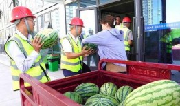 济源吃瓜大赛事件视频最新,一场全民参与的狂欢盛宴