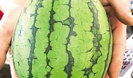 山东青岛吃瓜视频