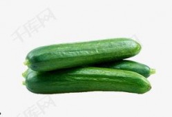 吃石头瓜视频大全下载,趣味无穷的下载盛宴