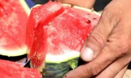 山东结婚吃瓜视频大全最新,一场场热闹非凡的婚庆盛宴