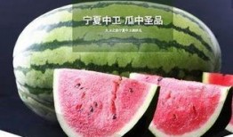 黄河瓜是怎么吃的啊视频,视频教你轻松享用