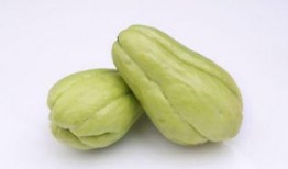 和尚可以吃佛手瓜吗视频,佛手瓜的佛门美味探索