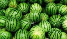 史上最铁的吃瓜视频,揭秘娱乐圈幕后真相