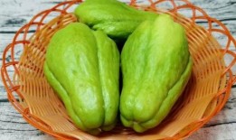 和尚可以吃佛手瓜吗视频,佛手瓜的佛门美味探索