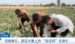 于都疫情吃瓜群众视频播放,吃瓜群众视角下的实时动态