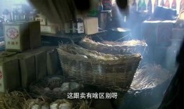 红雷哥吃瓜视频