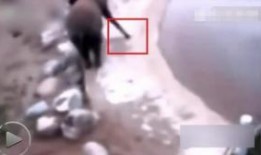 不明物体吃瓜视频,吃瓜群众纷纷围观！