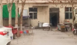 邯郸魏县回隆吃瓜事件视频,一场引发热议的乡村奇观