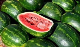 催泪吃瓜视频素材,那些催人泪下的吃瓜视频回顾