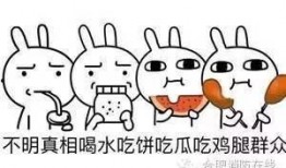 12人吃瓜群众被罚视频,公共秩序教育警示录”