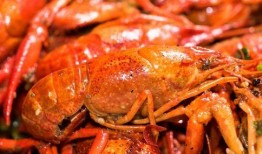 刘大瓜吃小龙虾视频,趣味横生美食盛宴