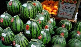 网红韩国旅游吃瓜视频