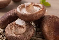 吃瓜网曝揭秘黑料蘑菇视频,蘑菇视频背后的惊人黑料