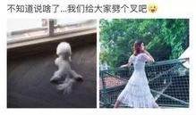 吃瓜劈叉女星视频播放