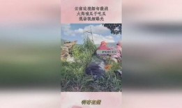 云南大妈吃瓜现场视频播放,视频曝光引发网友热议
