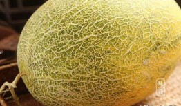 吃哈密瓜小窍门视频教程,掌握这些小窍门，美味又健康