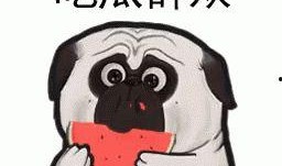 带你吃瓜抓鱼视频下载,瓜果飘香，鱼跃欢腾，视频下载攻略大揭秘