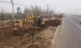 邯郸魏县回隆吃瓜事件视频,一场引发热议的乡村奇观