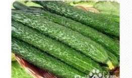 什么瓜吃减肥最快呢视频,揭秘哪种瓜吃最快瘦