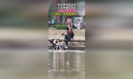 野外拍摄吃瓜群众视频,捕捉吃瓜群众的欢乐瞬间