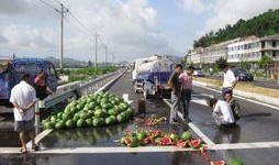 吃瓜西瓜翻车视频在线观看,网络热议背后的真相揭秘