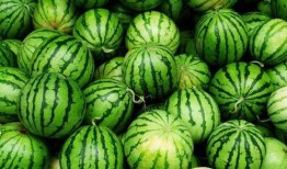 什么瓜吃的健康最多呢视频,吃瓜达人必看！哪种瓜最健康？