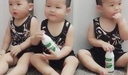 吃瓜宝宝完整视频,揭秘娱乐圈幕后故事，带你走进明星真实生活