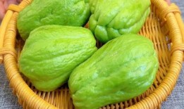 美食测评吃佛手瓜视频,口感与营养的双重享受