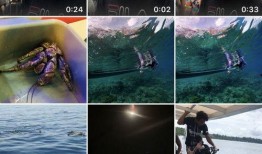 吃瓜室友视频爆料,吃瓜现场揭秘，真相令人震惊！