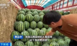 曹市吃瓜视频,揭秘网络热传视频背后的故事