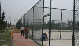 校园吃瓜围栏视频大全集,揭秘校园生活趣味瞬间