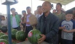 沙河市吃瓜群众事件视频,网络围观下的社会现象解析