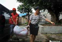 吃瓜群众爱心西瓜视频,吃瓜群众夏日清凉盛宴